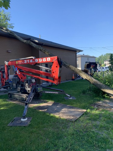 Arbor Élagage MG inc. - Entretien de vos arbres, conseils astucieux Arbor Élagage MG inc. - Entretien de vos arbres, conseils astucieux