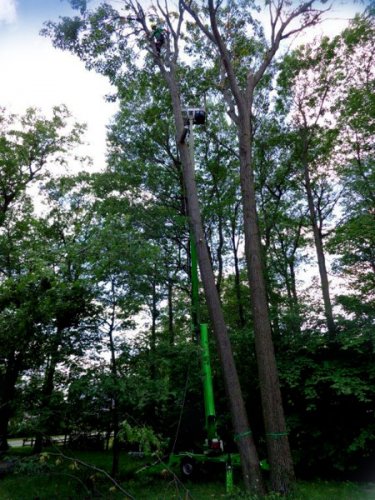 Abattage, lagage et taille d'arbre  Drummondville - Arbor lagage MG inc.