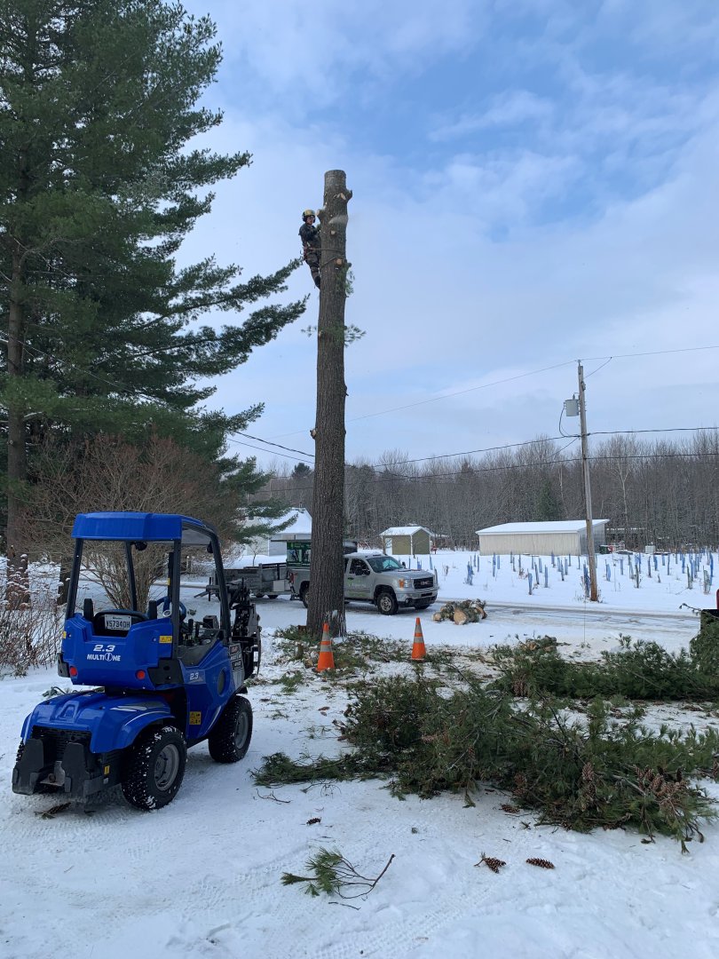 Abattage, élagage et taille d'arbre à Drummondville - Arbor Élagage MG inc.