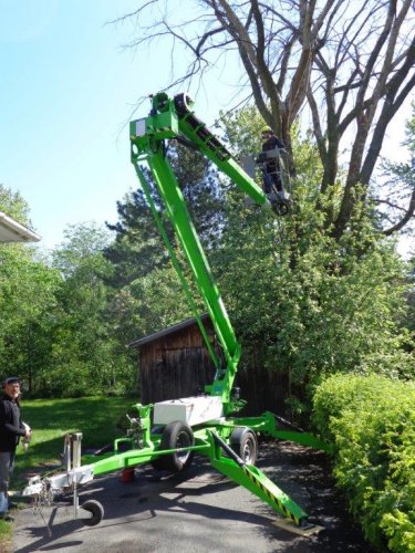 Abattage, lagage et taille d'arbre  Drummondville - Arbor lagage MG inc.