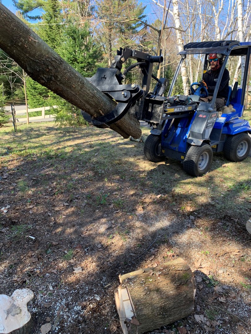 Abattage, élagage et taille d'arbre à Drummondville - Arbor Élagage MG inc.