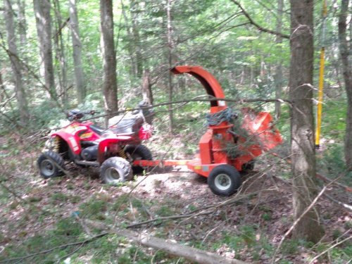 Abattage, lagage et taille d'arbre  Drummondville - Arbor lagage MG inc.