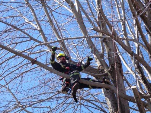 Abattage, lagage et taille d'arbre  Drummondville - Arbor lagage MG inc.