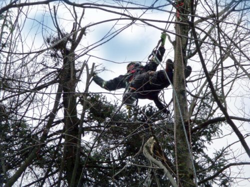 Abattage, lagage et taille d'arbre  Drummondville - Arbor lagage MG inc.