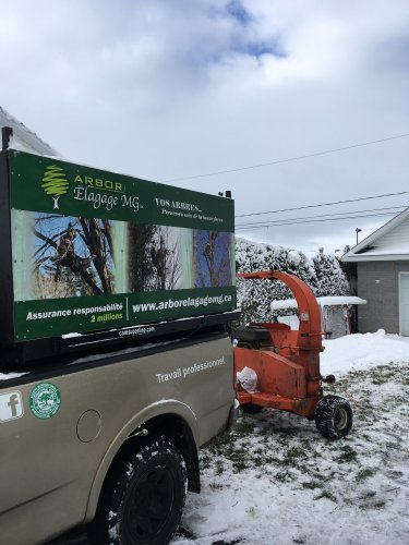 Abattage, lagage et taille d'arbre  Drummondville - Arbor lagage MG inc.