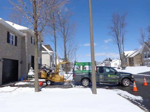 Abattage, lagage et taille d'arbre  Drummondville - Arbor lagage MG inc.