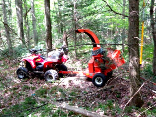 Abattage, lagage et taille d'arbre  Drummondville - Arbor lagage MG inc.