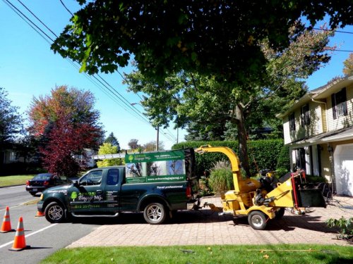Abattage, lagage et taille d'arbre  Drummondville - Arbor lagage MG inc.