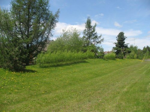 Abattage, lagage et taille d'arbre  Drummondville - Arbor lagage MG inc.