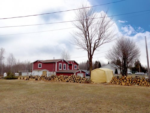Abattage, lagage et taille d'arbre  Drummondville - Arbor lagage MG inc.