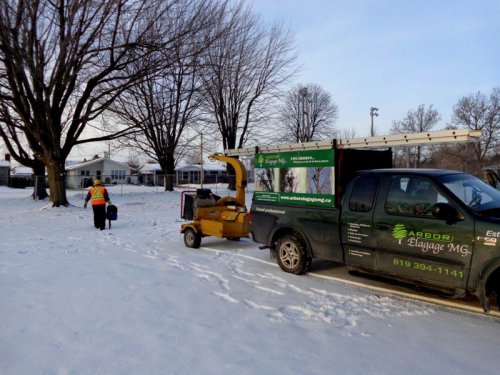 Abattage, lagage et taille d'arbre  Drummondville - Arbor lagage MG inc.