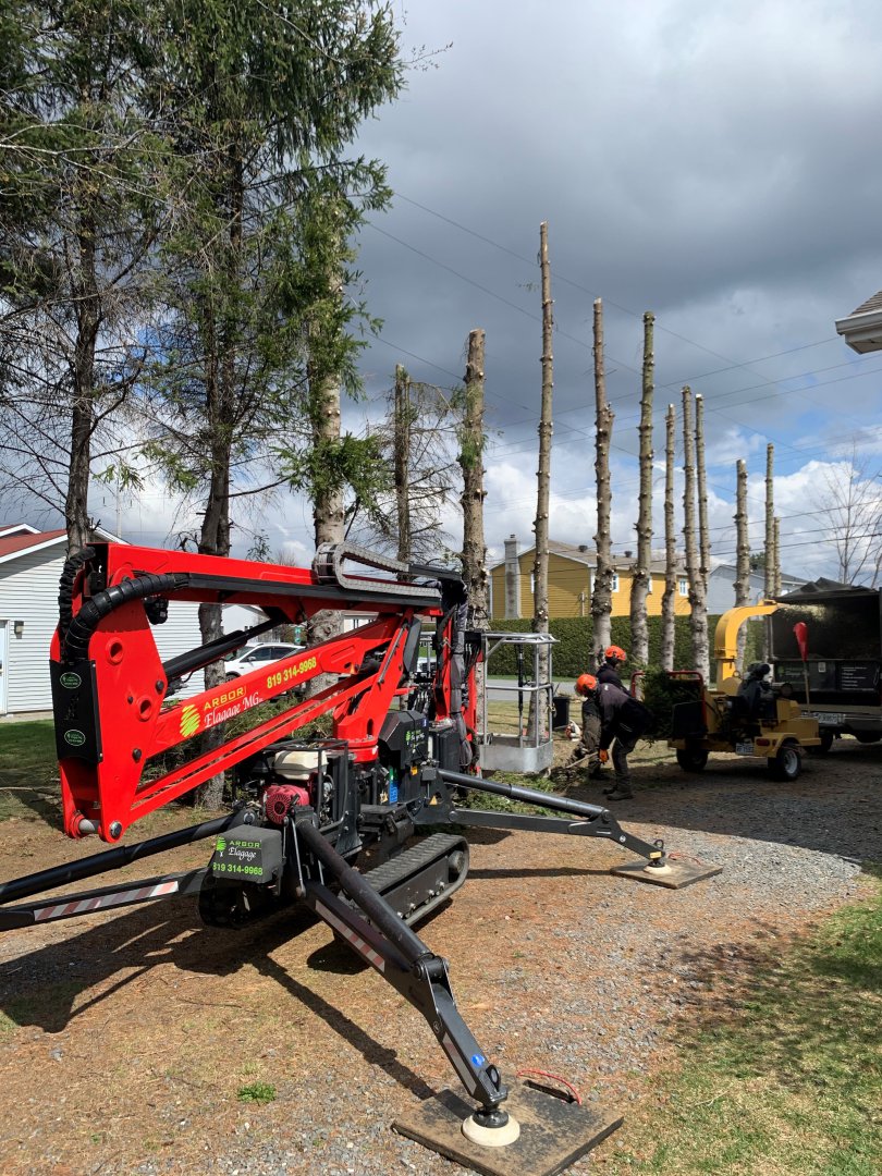 Abattage, élagage et taille d'arbre à Drummondville - Arbor Élagage MG inc.