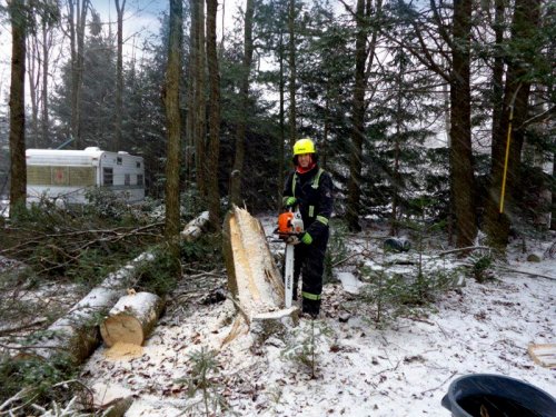 Abattage, lagage et taille d'arbre  Drummondville - Arbor lagage MG inc.