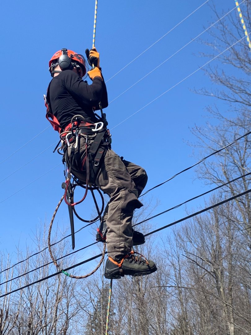 Abattage, élagage et taille d'arbre à Drummondville - Arbor Élagage MG inc.