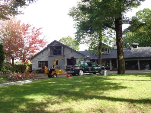 Abattage, lagage et taille d'arbre  Drummondville - Arbor lagage MG inc.