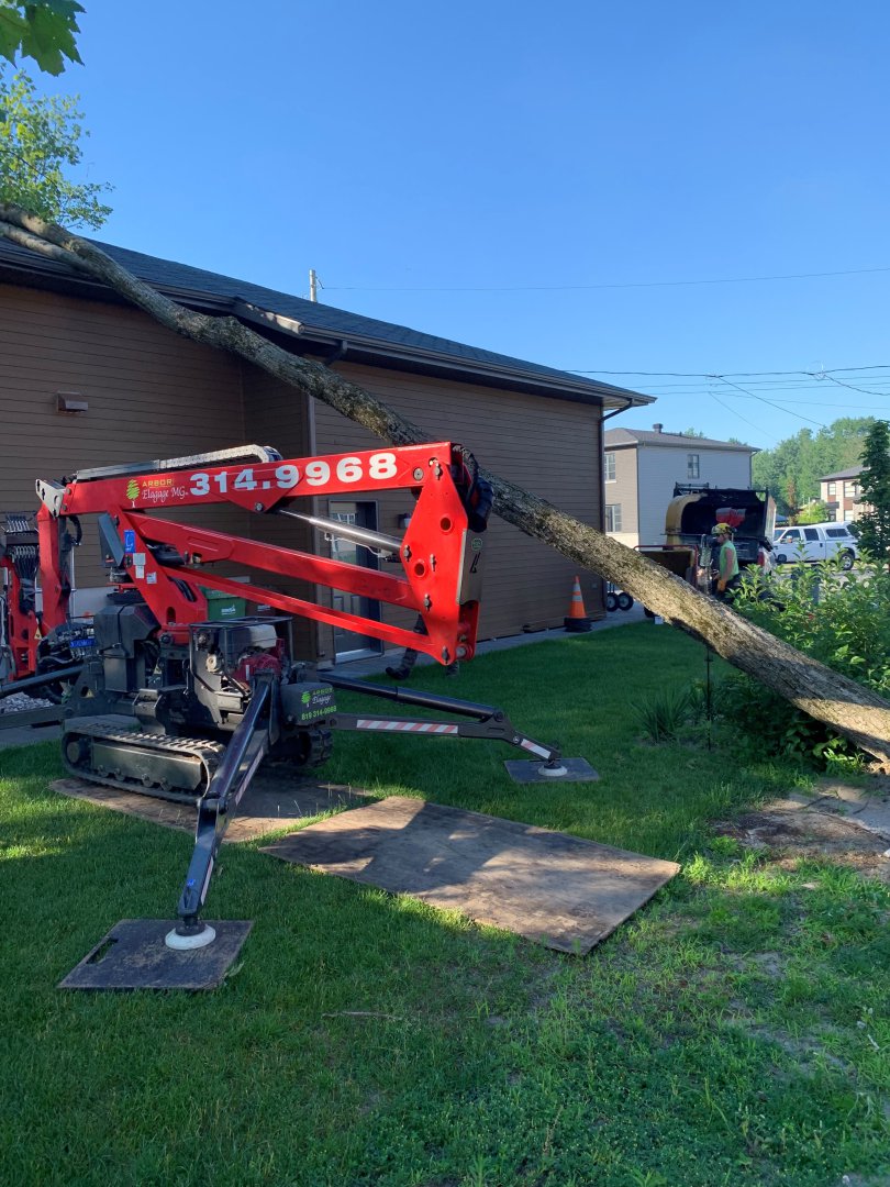 Abattage, élagage et taille d'arbre à Drummondville - Arbor Élagage MG inc.