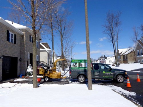 Abattage, lagage et taille d'arbre  Drummondville - Arbor lagage MG inc.