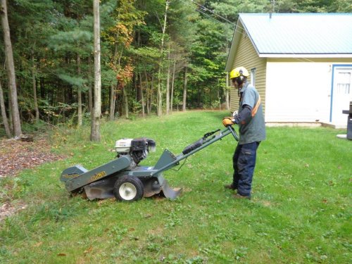 Abattage, lagage et taille d'arbre  Drummondville - Arbor lagage MG inc.