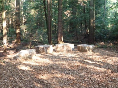 Abattage, lagage et taille d'arbre  Drummondville - Arbor lagage MG inc.