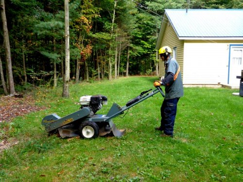 Abattage, lagage et taille d'arbre  Drummondville - Arbor lagage MG inc.