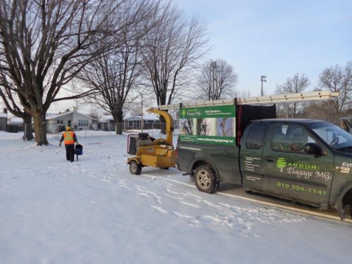 Abattage, lagage et taille d'arbre  Drummondville - Arbor lagage MG inc.