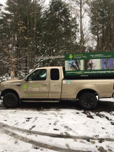 Abattage, lagage et taille d'arbre  Drummondville - Arbor lagage MG inc.