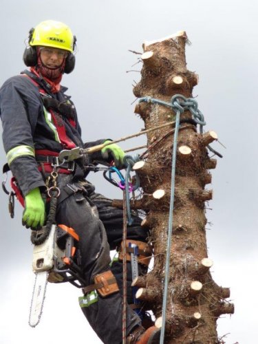 Abattage, lagage et taille d'arbre  Drummondville - Arbor lagage MG inc.