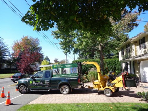 Abattage, lagage et taille d'arbre  Drummondville - Arbor lagage MG inc.