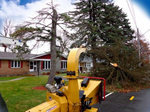 Abattage, lagage et taille d'arbre  Drummondville - Arbor lagage MG inc.