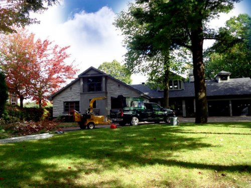 Abattage, lagage et taille d'arbre  Drummondville - Arbor lagage MG inc.