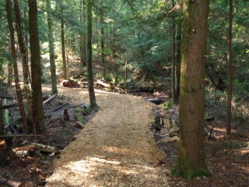 Abattage, lagage et taille d'arbre  Drummondville - Arbor lagage MG inc.