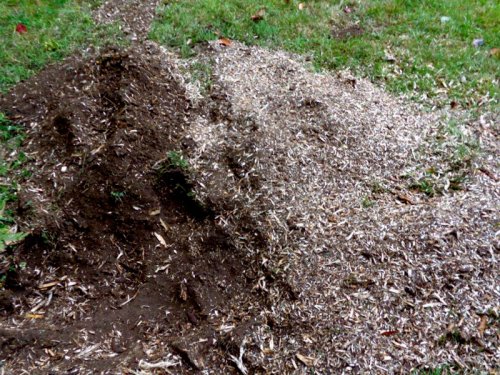 Abattage, lagage et taille d'arbre  Drummondville - Arbor lagage MG inc.