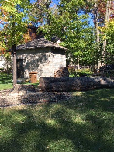 Abattage, lagage et taille d'arbre  Drummondville - Arbor lagage MG inc.