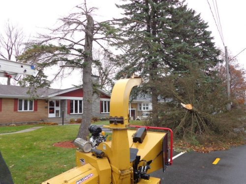Abattage, lagage et taille d'arbre  Drummondville - Arbor lagage MG inc.