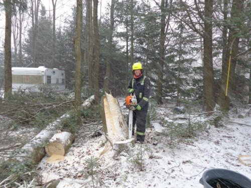 Abattage, lagage et taille d'arbre  Drummondville - Arbor lagage MG inc.