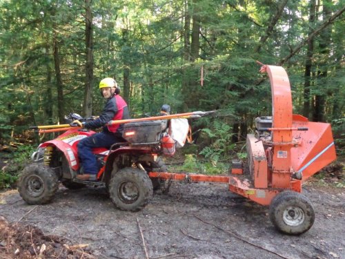 Abattage, lagage et taille d'arbre  Drummondville - Arbor lagage MG inc.