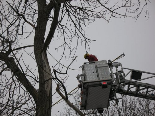 Abattage, lagage et taille d'arbre  Drummondville - Arbor lagage MG inc.