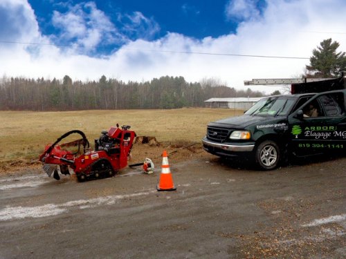 Abattage, lagage et taille d'arbre  Drummondville - Arbor lagage MG inc.