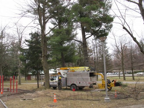Abattage, lagage et taille d'arbre  Drummondville - Arbor lagage MG inc.