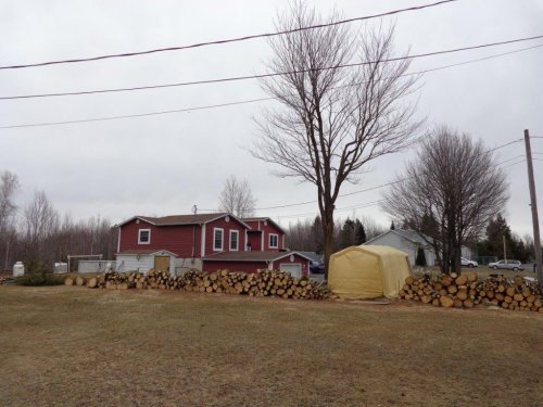 Abattage, lagage et taille d'arbre  Drummondville - Arbor lagage MG inc.