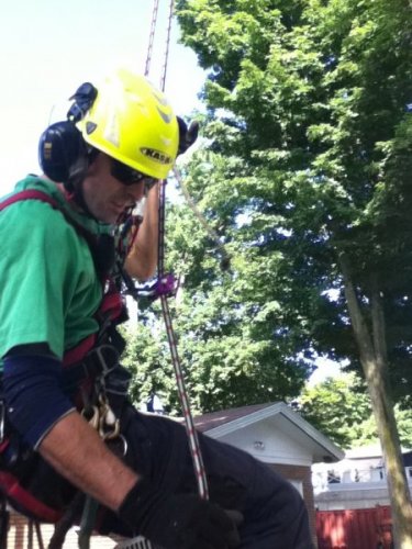 Abattage, lagage et taille d'arbre  Drummondville - Arbor lagage MG inc.