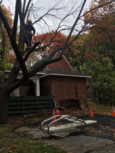 Abattage, lagage et taille d'arbre  Drummondville - Arbor lagage MG inc.