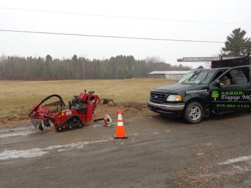 Abattage, lagage et taille d'arbre  Drummondville - Arbor lagage MG inc.