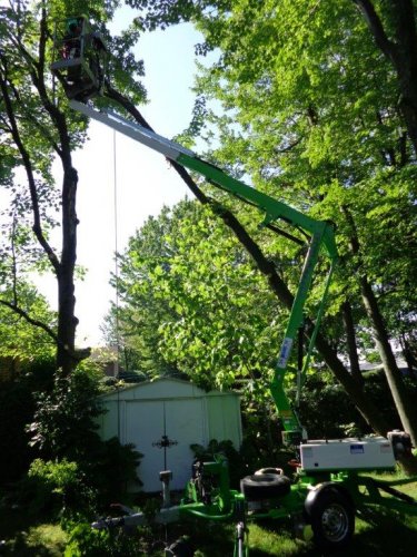 Abattage, lagage et taille d'arbre  Drummondville - Arbor lagage MG inc.