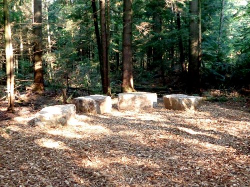 Abattage, lagage et taille d'arbre  Drummondville - Arbor lagage MG inc.