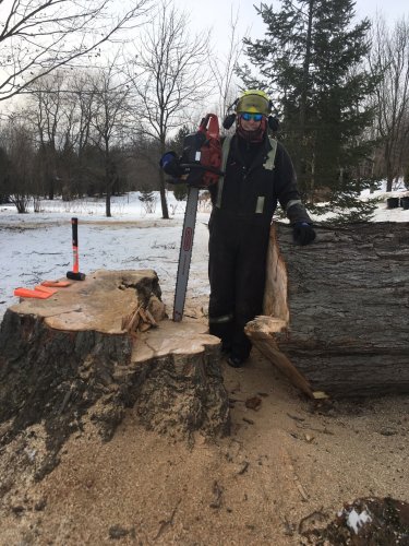 Abattage, lagage et taille d'arbre  Drummondville - Arbor lagage MG inc.