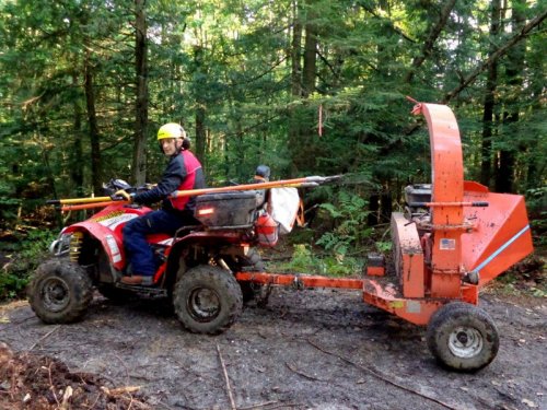 Abattage, lagage et taille d'arbre  Drummondville - Arbor lagage MG inc.