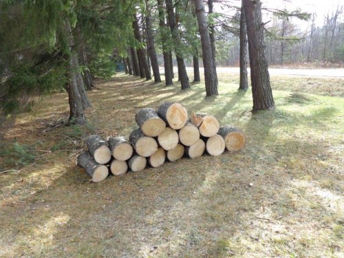 Abattage, lagage et taille d'arbre  Drummondville - Arbor lagage MG inc.