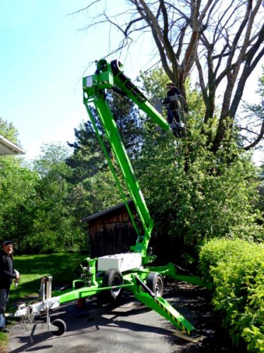 Abattage, lagage et taille d'arbre  Drummondville - Arbor lagage MG inc.