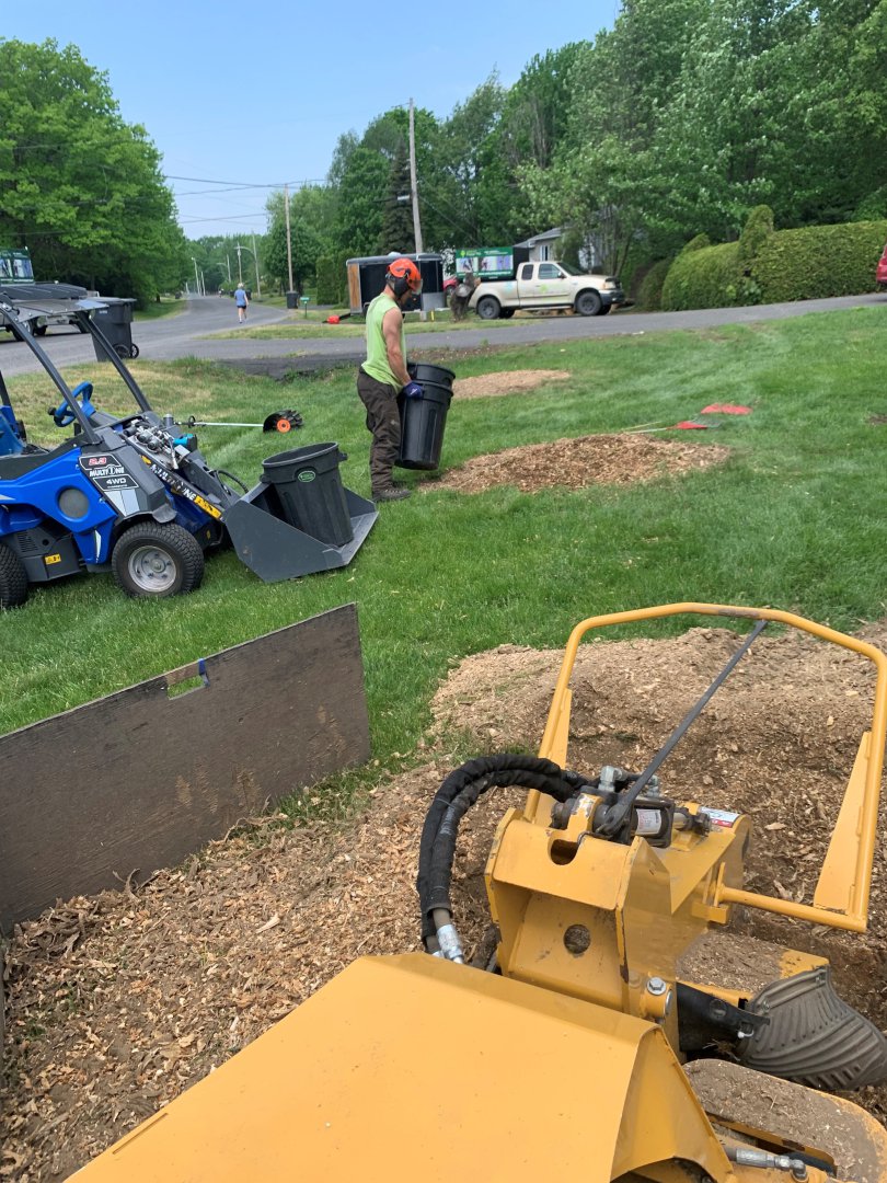 Abattage, élagage et taille d'arbre à Drummondville - Arbor Élagage MG inc.